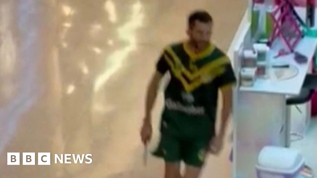 Sydney stabbing suspect Joel Cauchi identified by police after Bondi mall attack