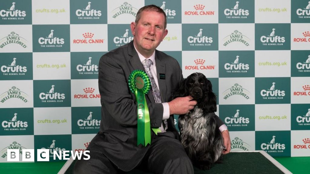 Crufts 2024 Ukrainian refugee dog Adriana wins award BBC News