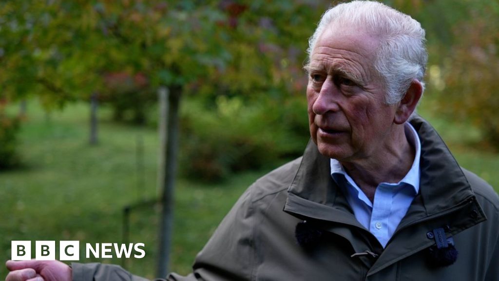 Prince Charles: I understand climate activists' anger