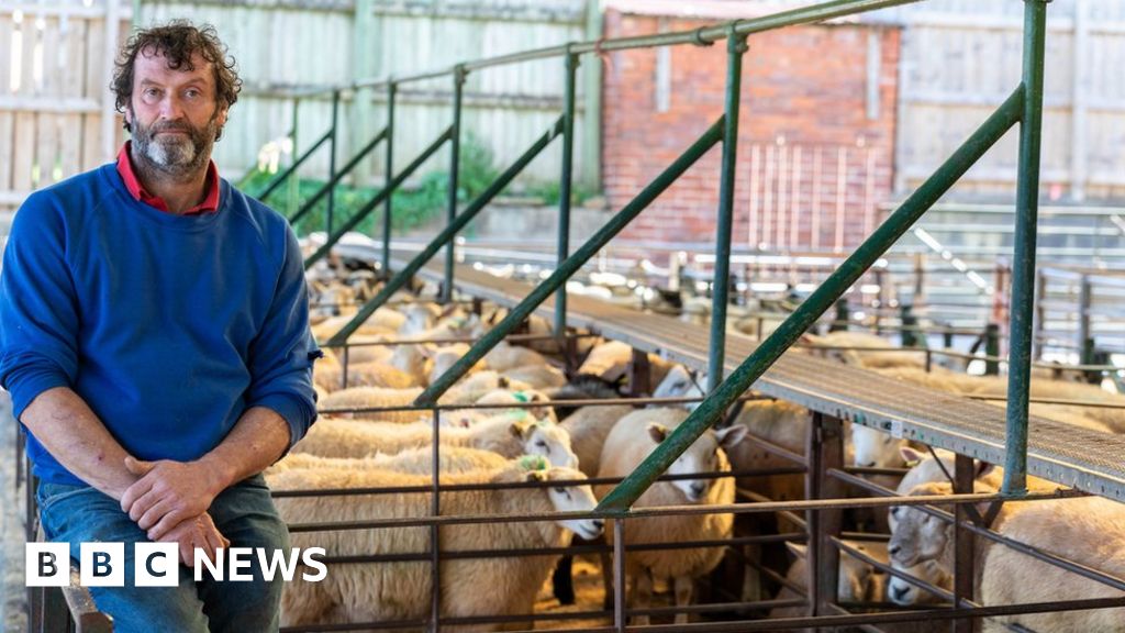 Brexit: How will it affect the Welsh food industry? - BBC News