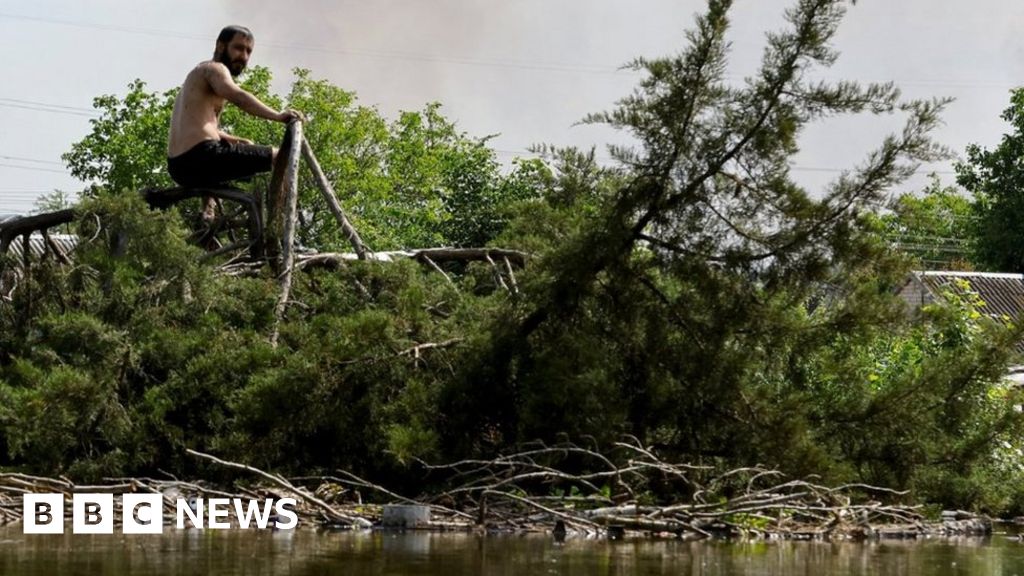 Ukraine dam: Floods devastate tracts of rich farmland