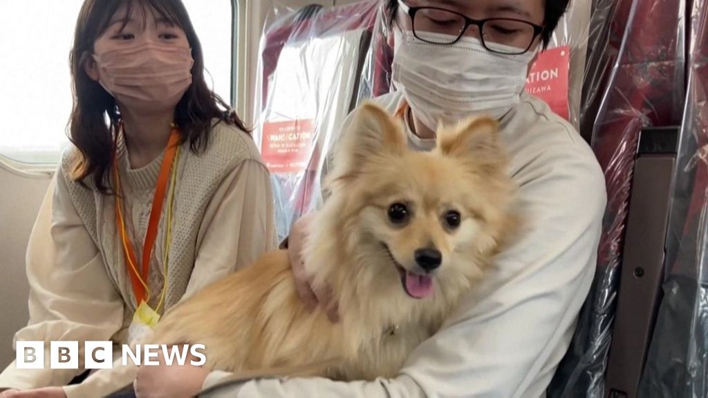 Pampered pooches ride Japan's Shinkansen in style