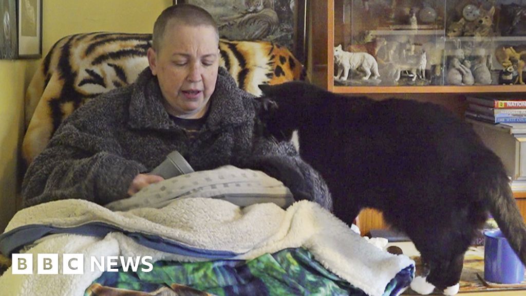 Cost of living: Woman puts cat down jumper to keep warm