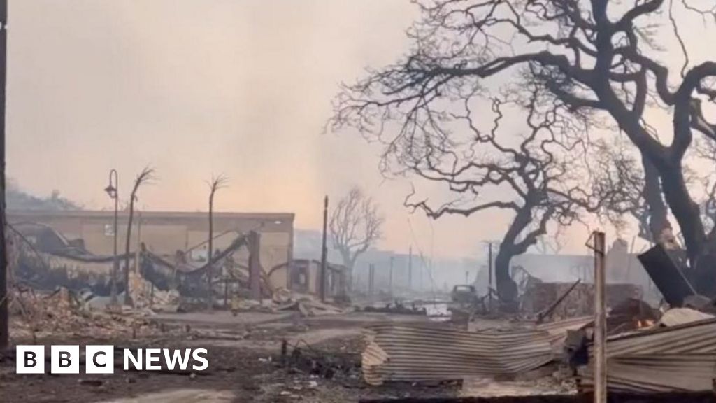 Survivors of the Hawaii fires mourn loss of beloved pets and family homes