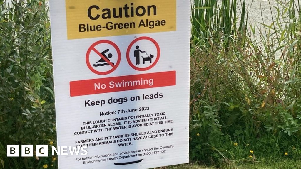 Swimmers warned away from popular NI beaches