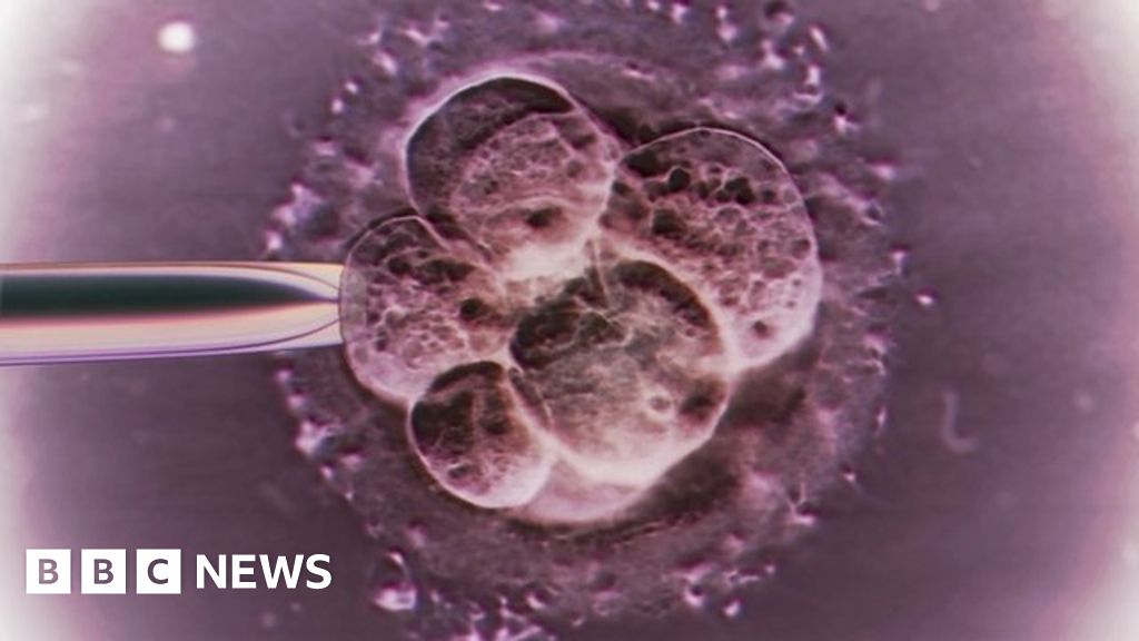 Kathy Niakan Scientist Makes Case To Edit Embryos Bbc News