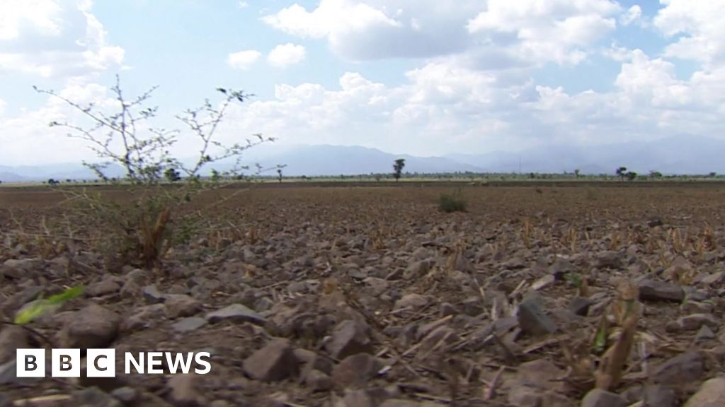 El Nino threatens 'millions in east and southern Africa' BBC News