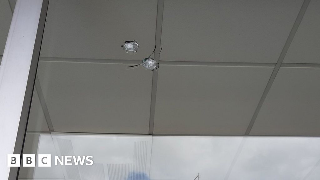 伍斯特附近的窗戶被人用彈丸槍打碎