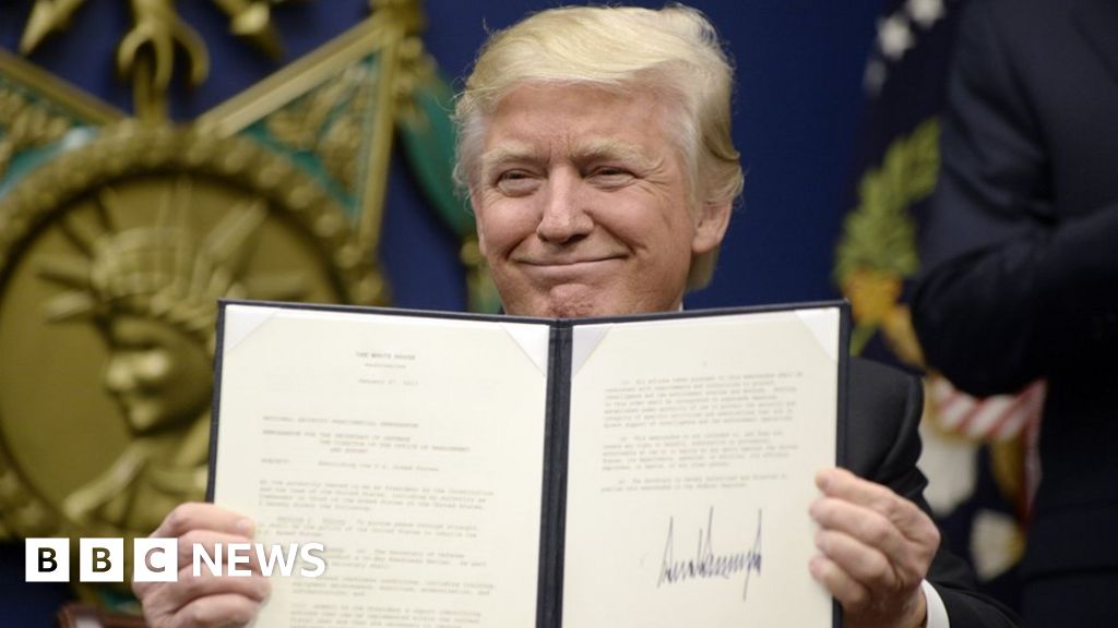 What are executive orders and how much power do they give President