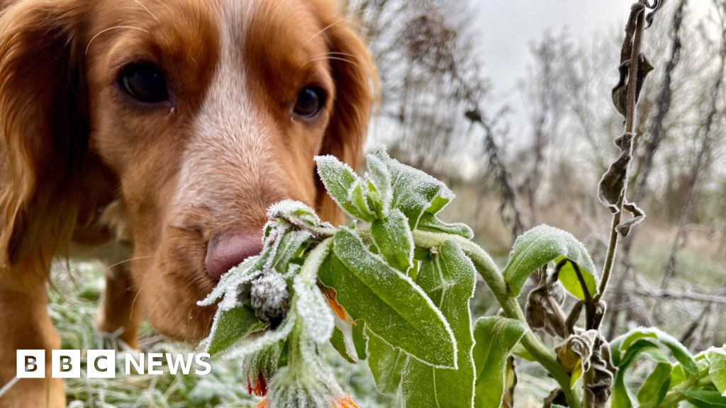 Your striking pictures of snow and frost across UK