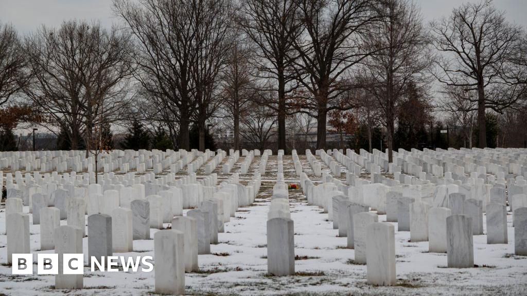 Makam Arlington menghapus konten tentang veteran hitam dan wanita dari situs web