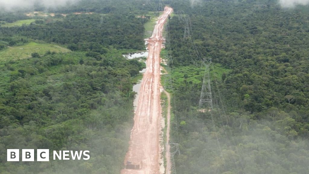 Amazon forest felled to build road for climate summit