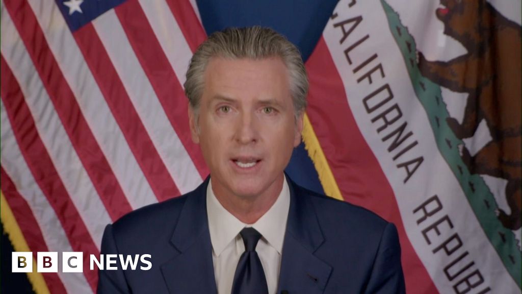 Newsom on why Democrats got 'crushed' and his rumoured White House ambitions