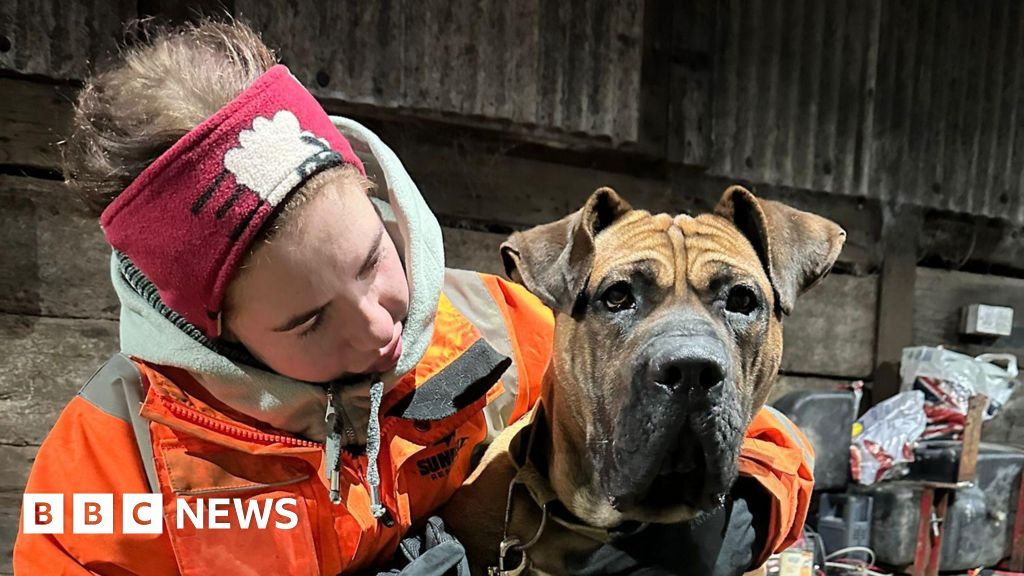 Save A Paw victims tell of their agony over dogs' deaths