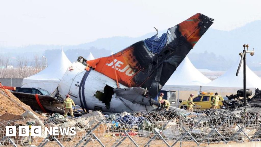 Bird feathers found in engines of crashed Jeju Air jet