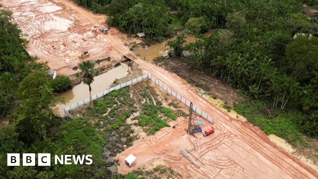 Amazon forest felled to build road for climate summit