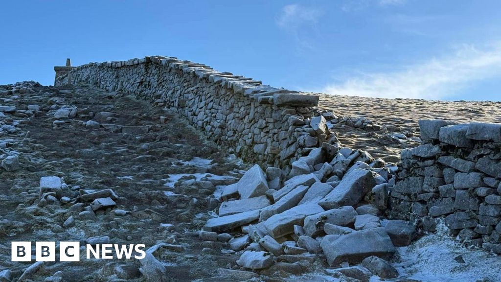 Storm Éowyn inflicts €60 million damage on Coillte forests