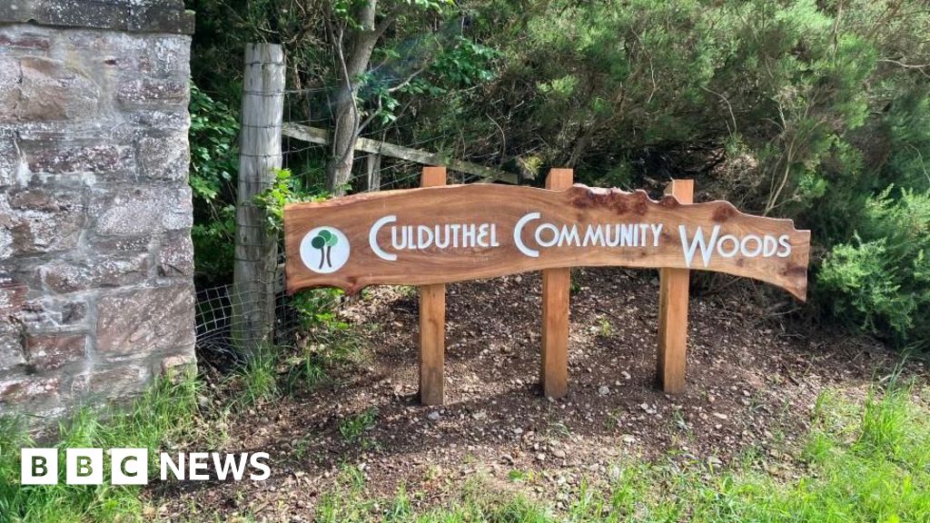 Newcastle Nature Reserve Path Approval Nears Despite Wildlife Concerns