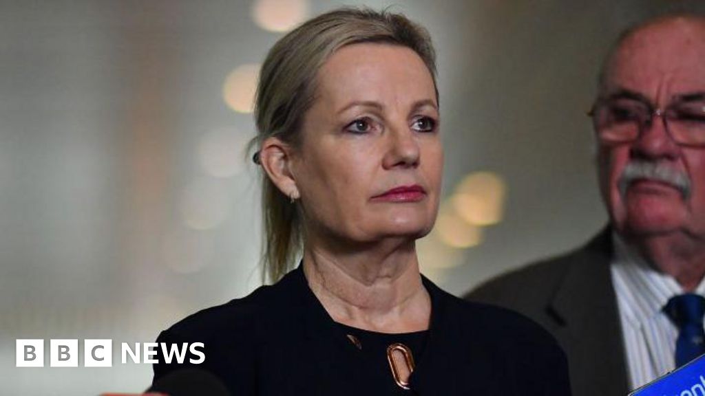 Sussan Ley: Liberal Party names first female leader after historic Australia election loss