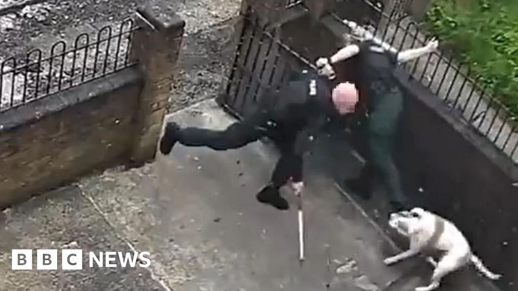 North Belfast video shows dog attacking police officer – BBC