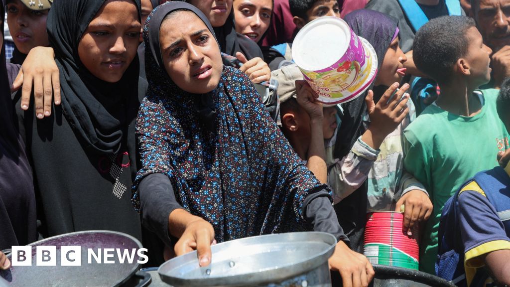 Almost a third of people in Gaza 'not eating for days,' UN warns thumbnail