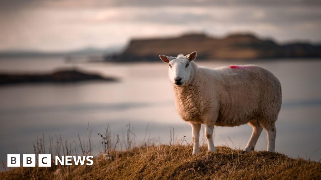 Crofters secure payments under criticised farming fund
