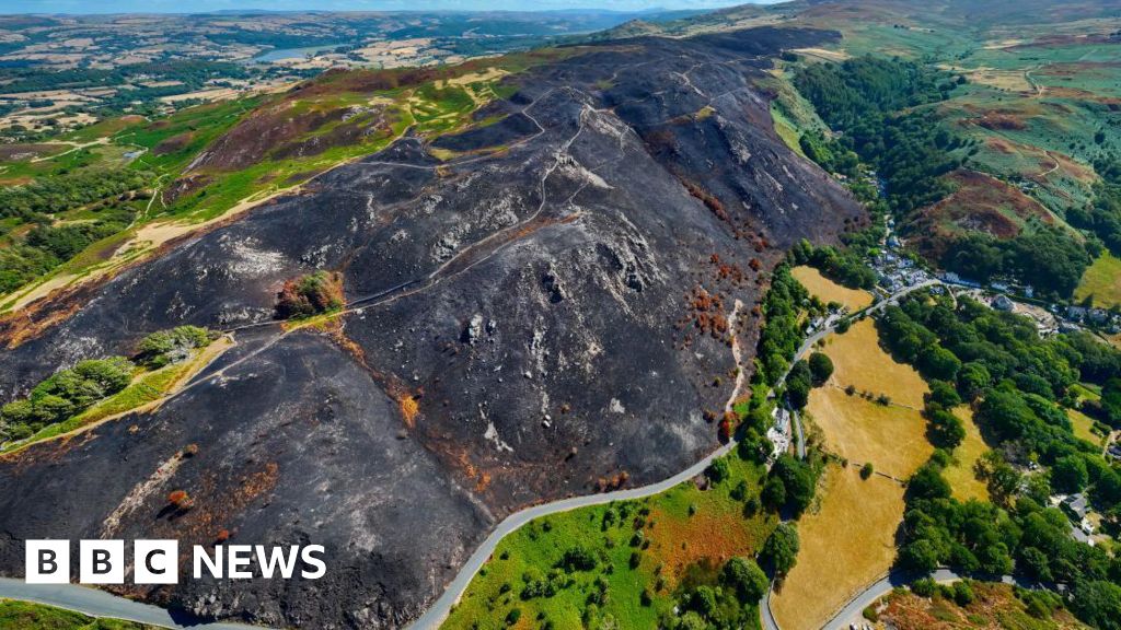 Wildfire-ravaged habitats could take centuries to recover, environmentalists say