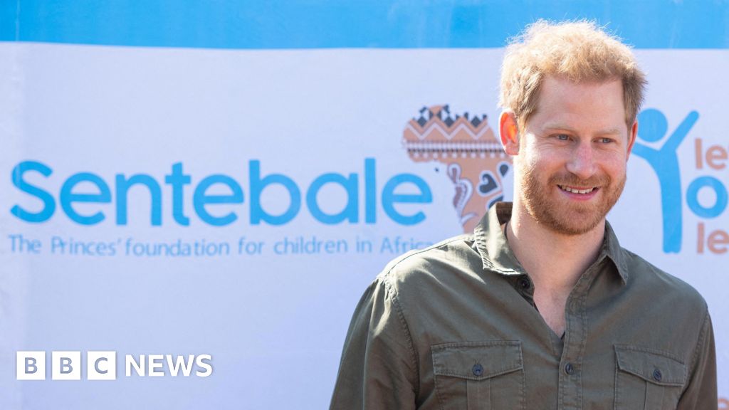 No bullying found in Harry charity row, but blame for all sides