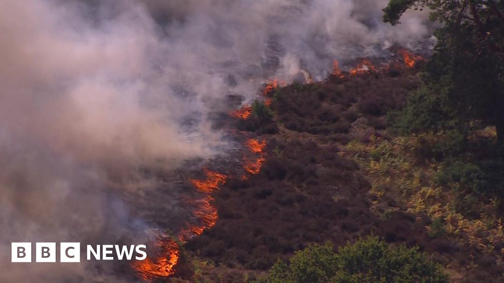 Aerial footage shows wildfire tearing through Suffolk heathland