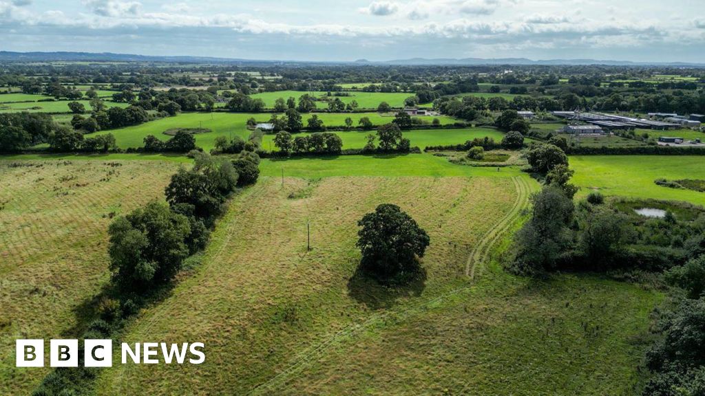 Chester Zoo Plants 19,000 Trees for Wildlife