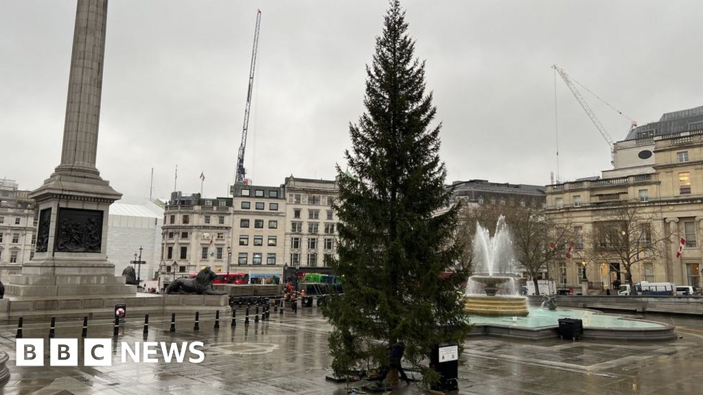 De ‘beroemdste kerstboom ter wereld’ arriveert op Trafalgar Square