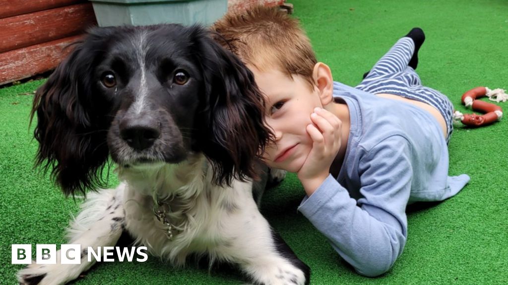 Diabetes sniffer dog saves South Ockendon boy say parents