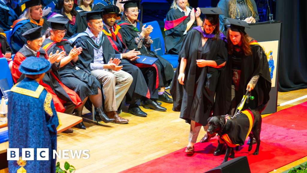 Student graduates with guide dog in mini gown