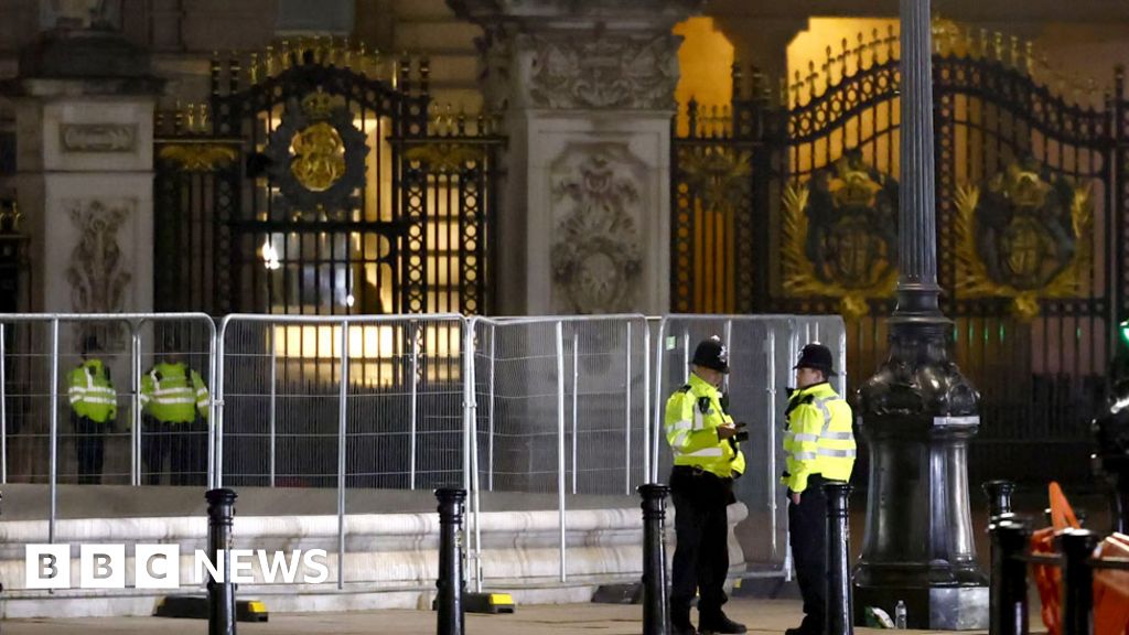 Man arrested outside Buckingham Palace