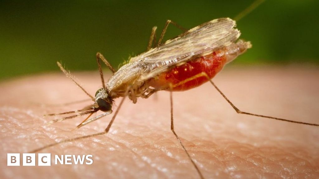 The sci-fi technology tackling malarial mosquitos