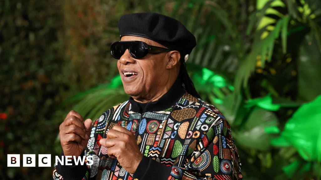 Stevie Wonder among gigs without planning permission
