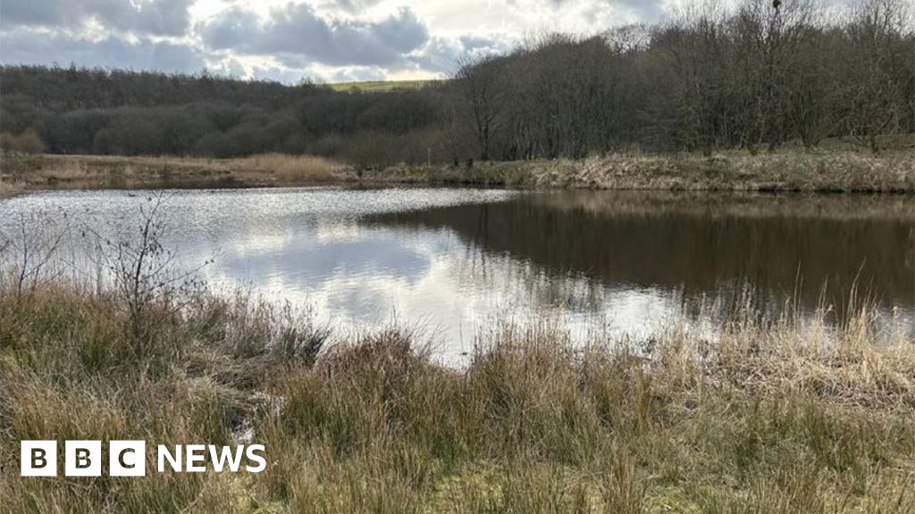 bbc.co.uk - Bill Jacobs - Darwen beauty spot bought 'at eleventh hour' to secure its future - BBC News