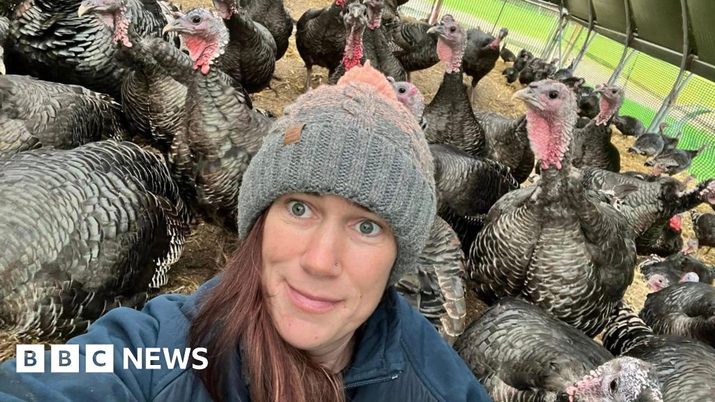 Christmas turkeys in bird flu 'flockdown' as thousands culled
