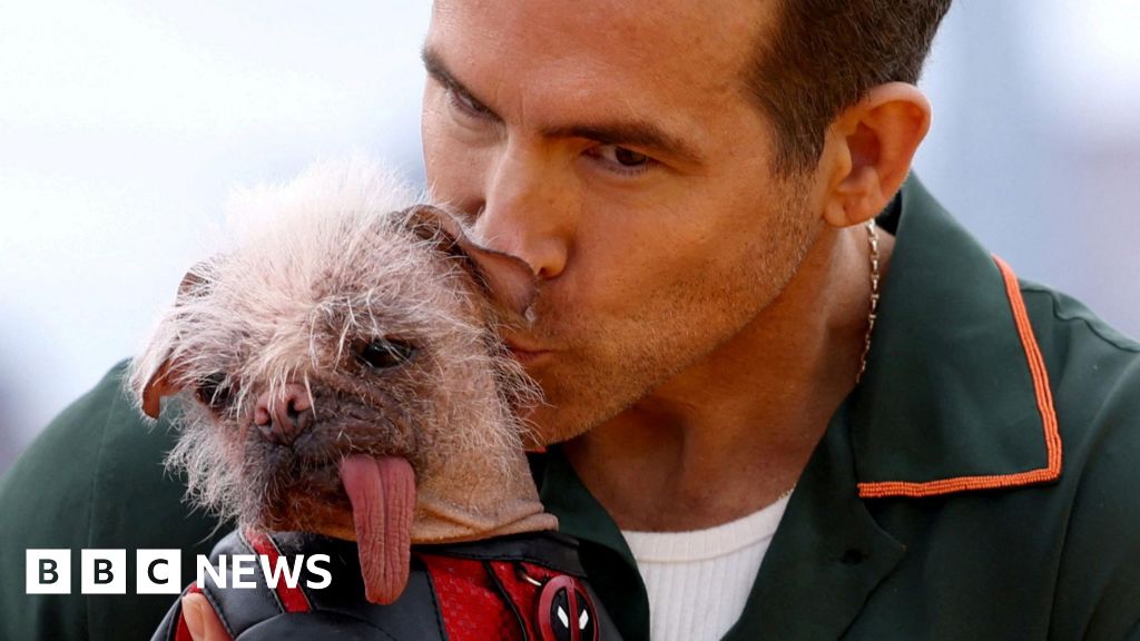 Britain's ugliest dog joins Deadpool & Wolverine stars on red carpet ...