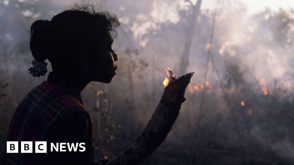 Australia fires: Aboriginal planners say the bush 'needs to burn'