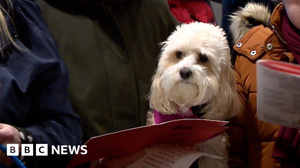 Bridlington church hosts carol service for pets and owners