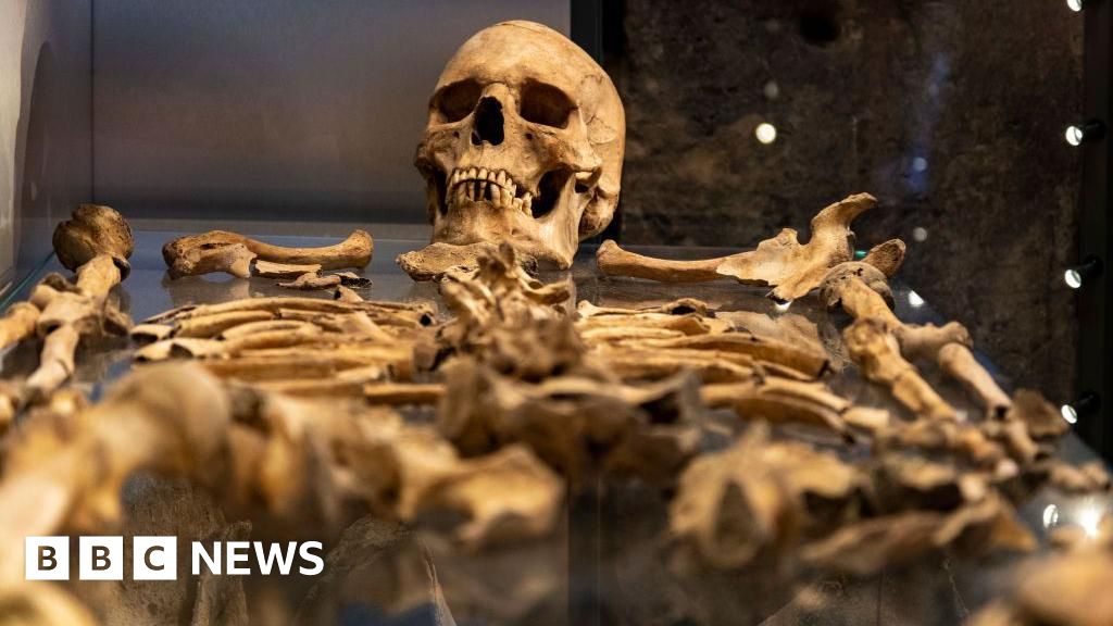 University of York Unearths Prehistoric Aging Perspectives Through Skeleton Study