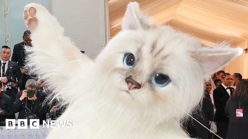 Quiz of the week: Who went to the Met Gala inside a cat outfit?