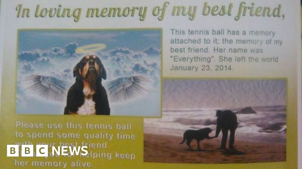 How Everything Made The Internet Cry Bbc News How Everything Made The Internet Cry