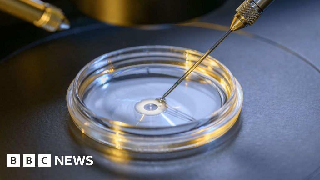 First synthetic human embryo raises ethical issues