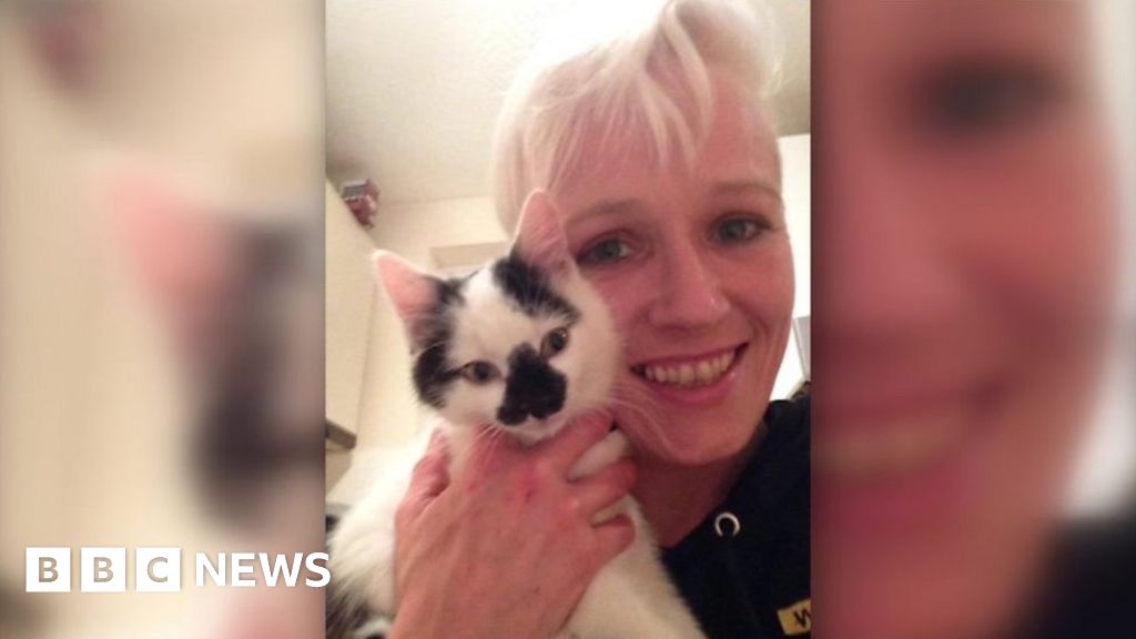 Safety calls after cat killed by pollen from lilies BBC News