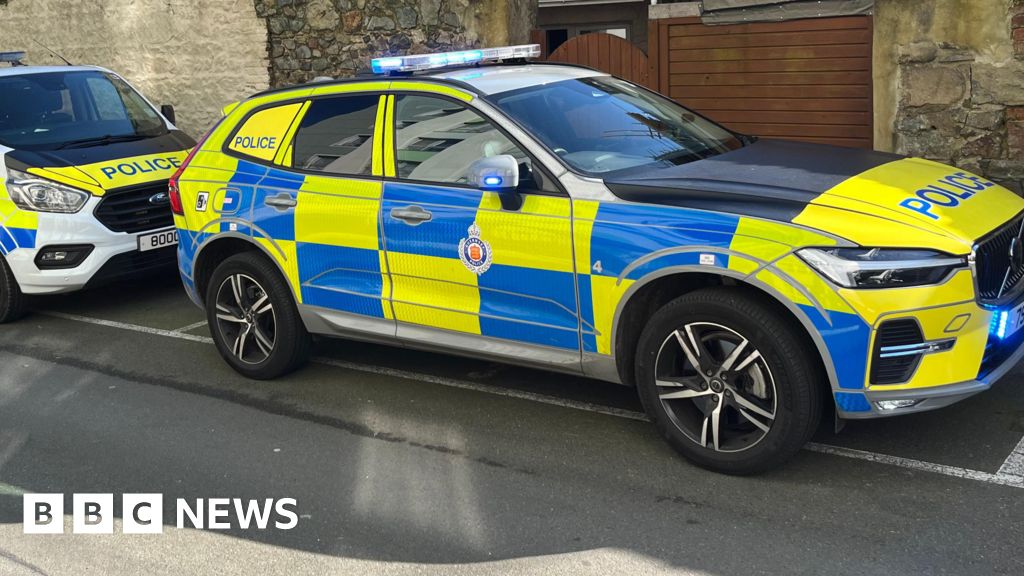 Investigation into Guernsey Police dog complaint