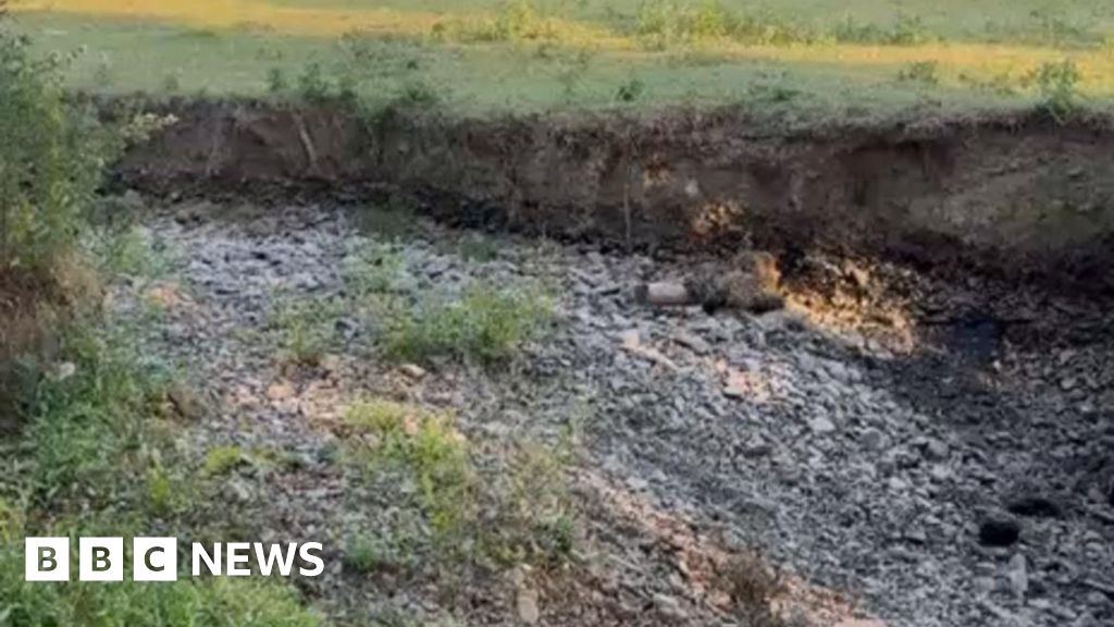 Community moves thousands of fish after brook dries out