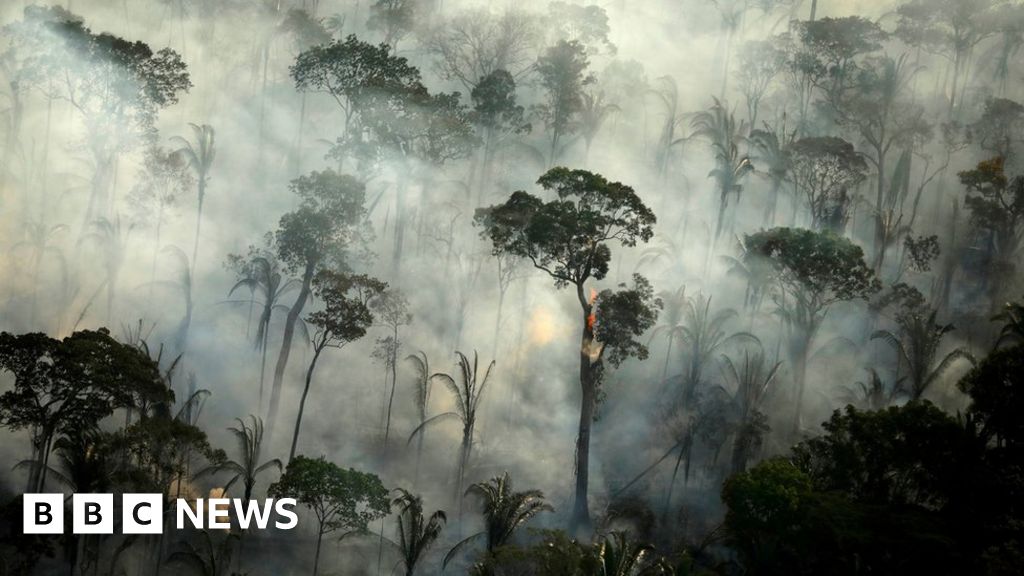 Amazon region: Brazil records big increase in fires