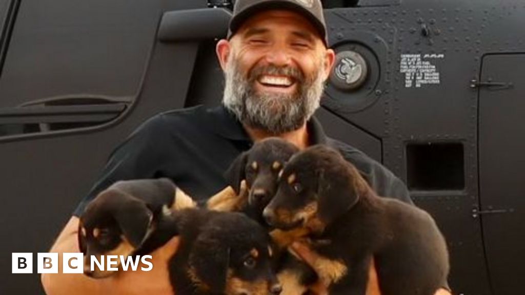 Rescuer runs to save dogs trapped in huge California wildfire